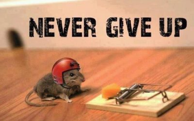 The Secret To Success