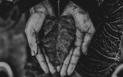 An attitude of gratitude