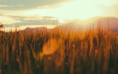 Keys to tackling your highest priorities TODAY