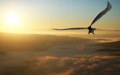 Descend To Rise