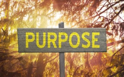 The True Power of Purpose