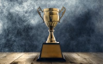 Excellence, One of the Most Powerful Hallmarks of a High Performing Leader