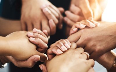 Finding Fulfillment: The Power of Connection and Contribution